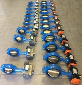 Actuated butterfly valve